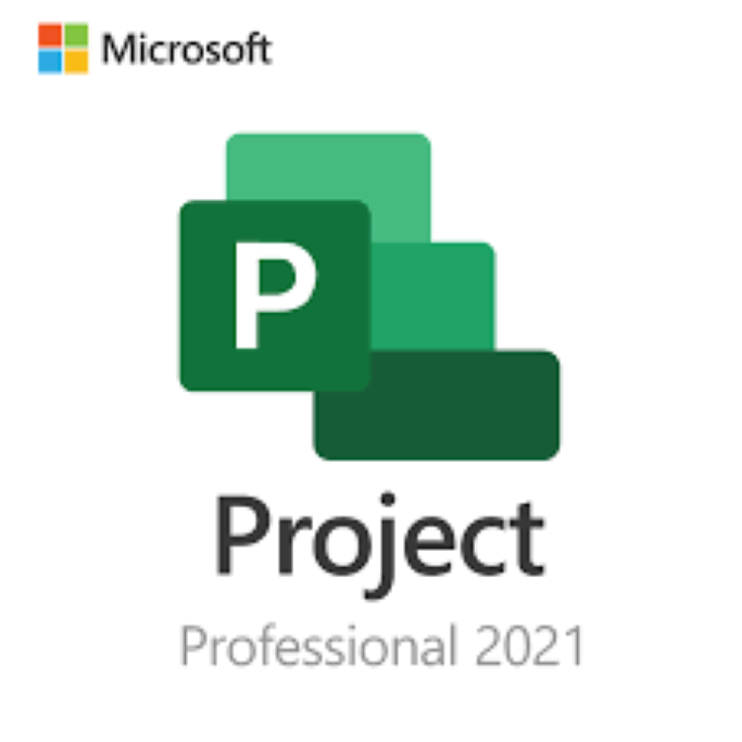 Microsoft Project Professional 2021